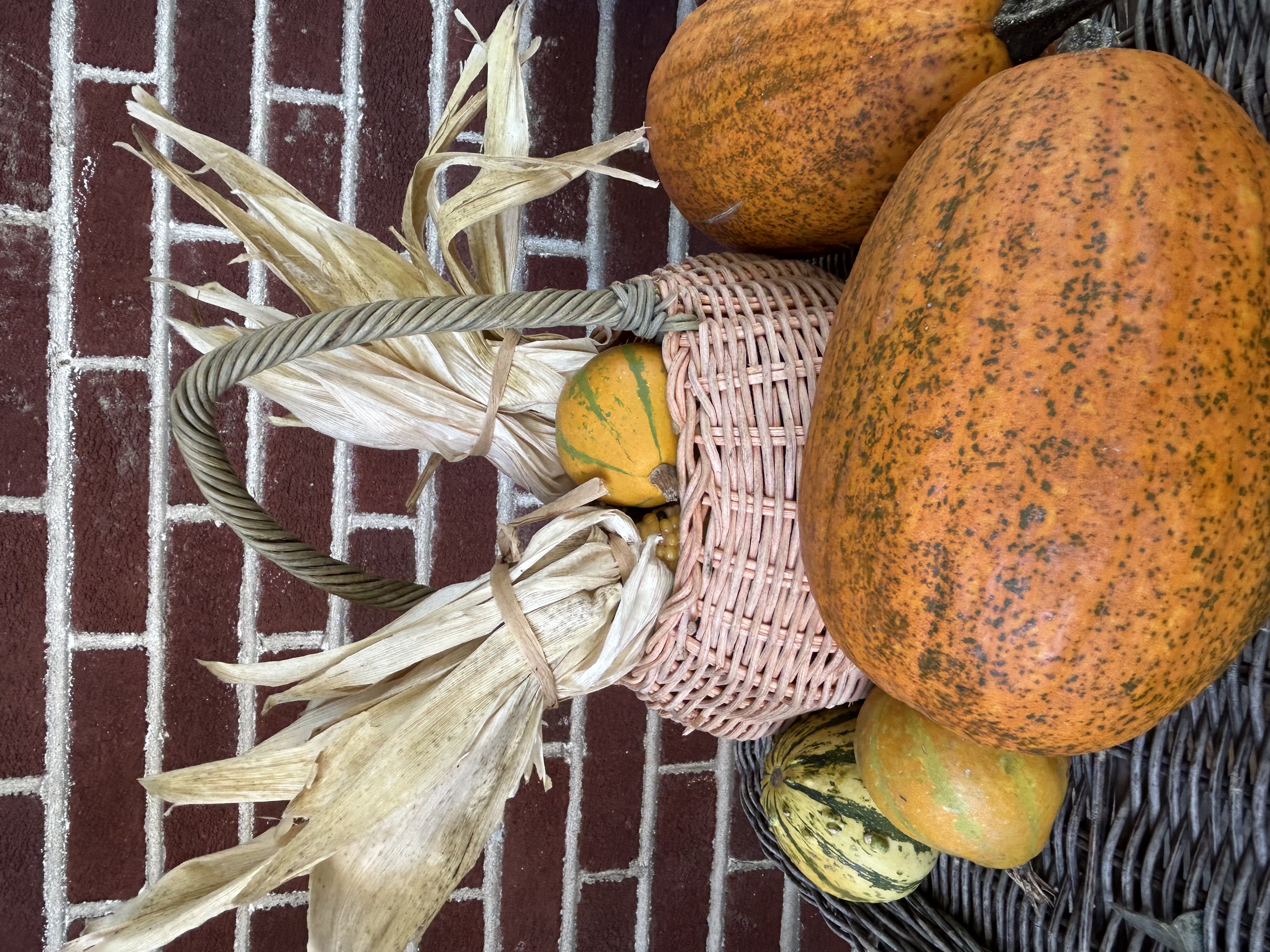 Fall Festival